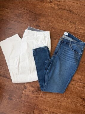 Crown & Ivy pant BUNDLE
